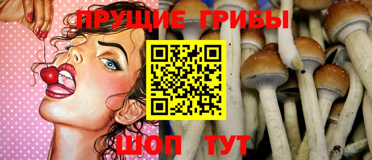 Галлюциногенные грибы Magic Shrooms Родники