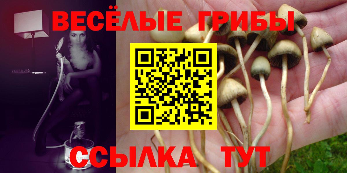 Галлюциногенные грибы GOLDEN TEACHER  Вход с VPN  Родники 